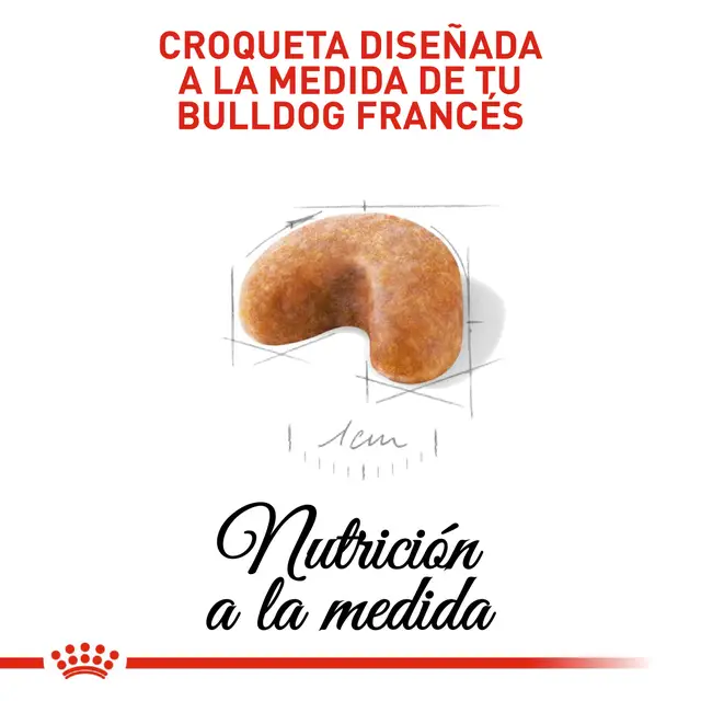Alimento Royal Canin Bulldog Frances Puppy Perro Cachorro
