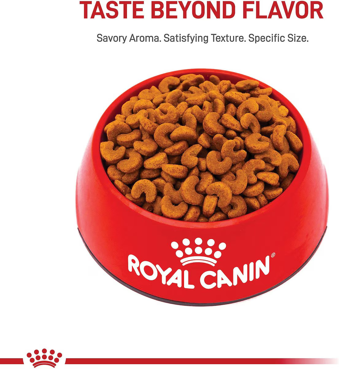 Alimento Royal Canin Bulldog Frances Puppy Perro Cachorro