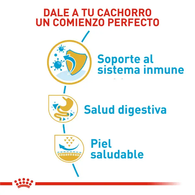 Alimento Royal Canin Bulldog Frances Puppy Perro Cachorro