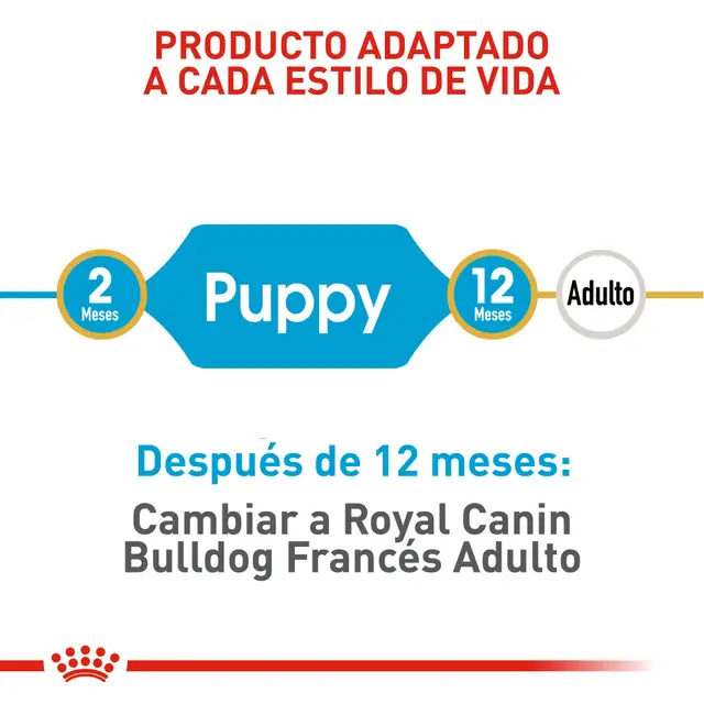 Alimento Royal Canin Bulldog Frances Puppy Perro Cachorro