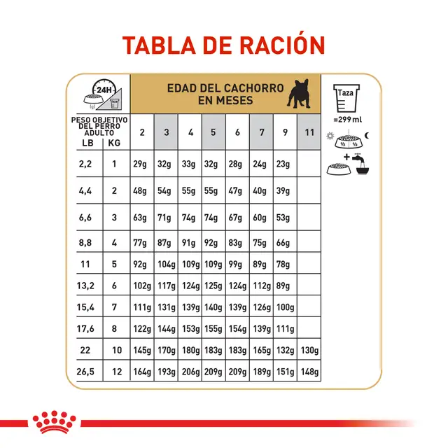 Alimento Royal Canin Bulldog Frances Puppy Perro Cachorro