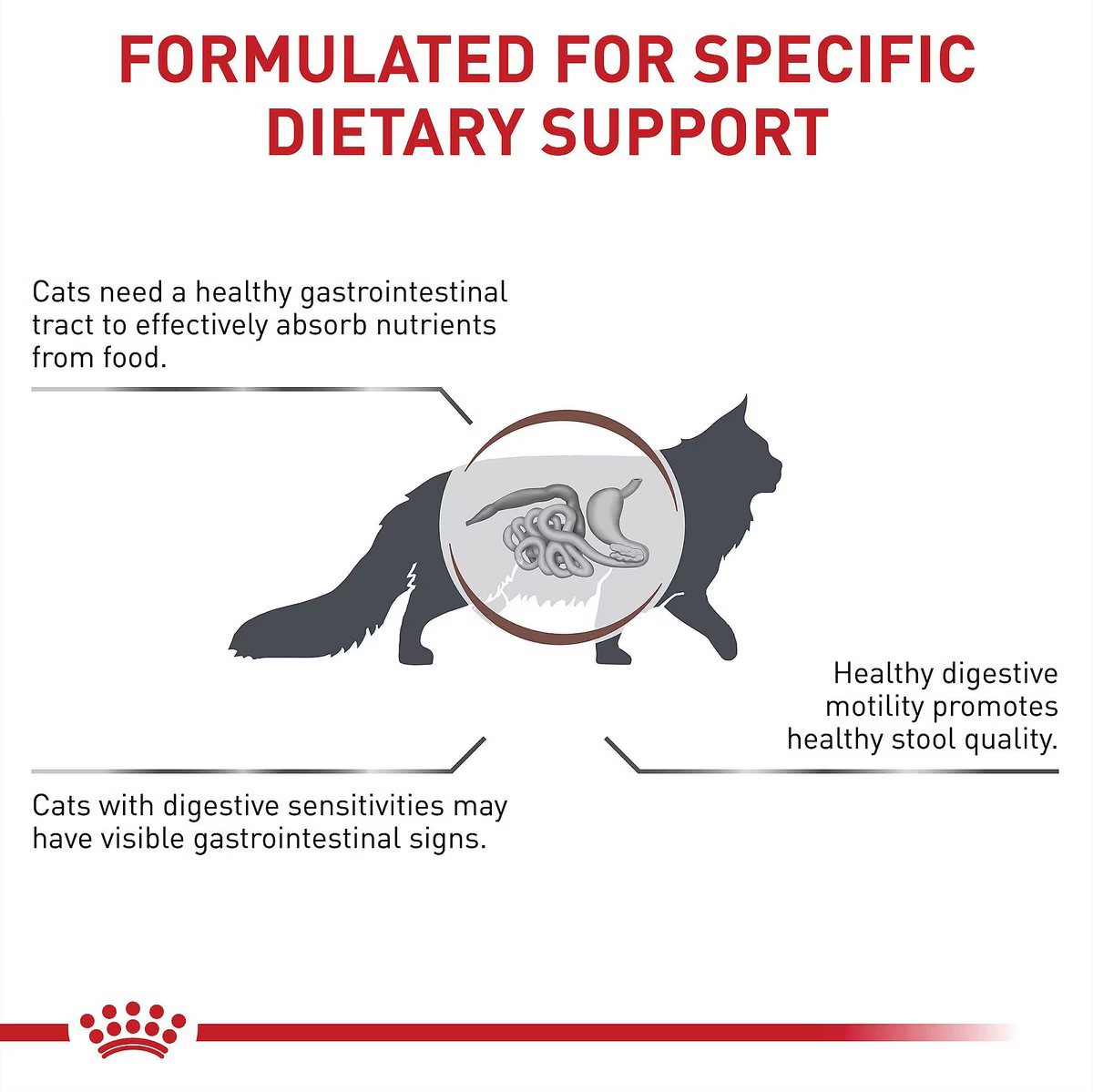 Alimento Royal Canin Gastrointestinal Para Gato Adulto