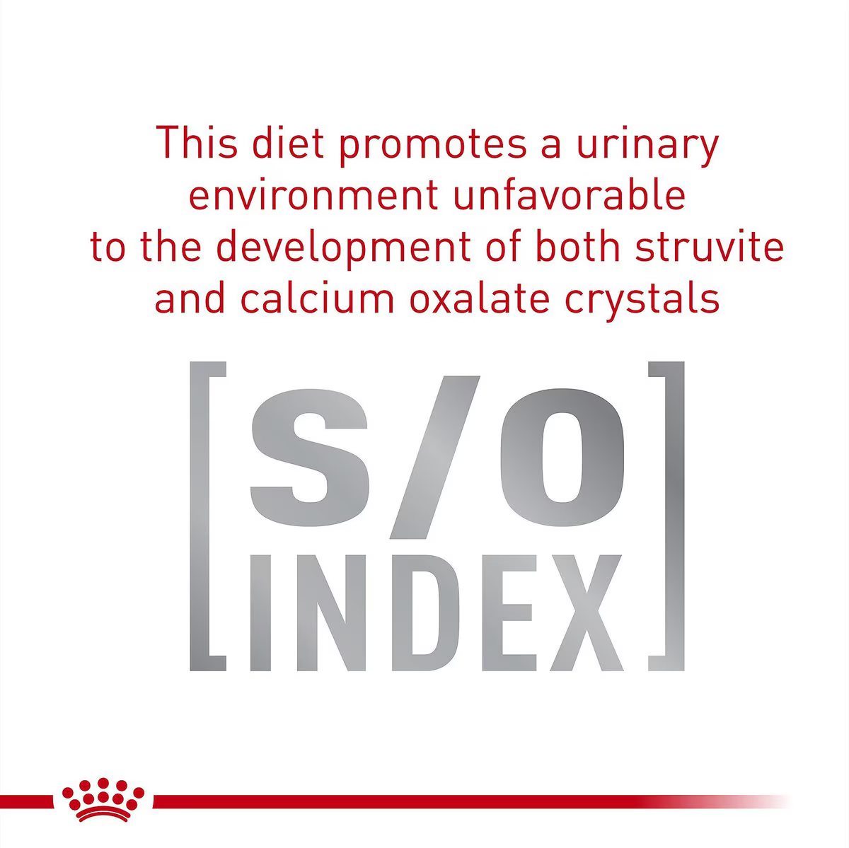 Alimento Royal Canin Gastrointestinal Para Gato Adulto