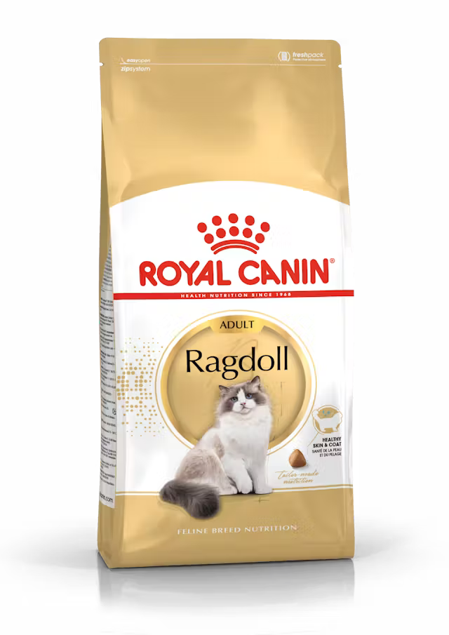 Alimento Royal Canin Ragdoll para Gato Adulto