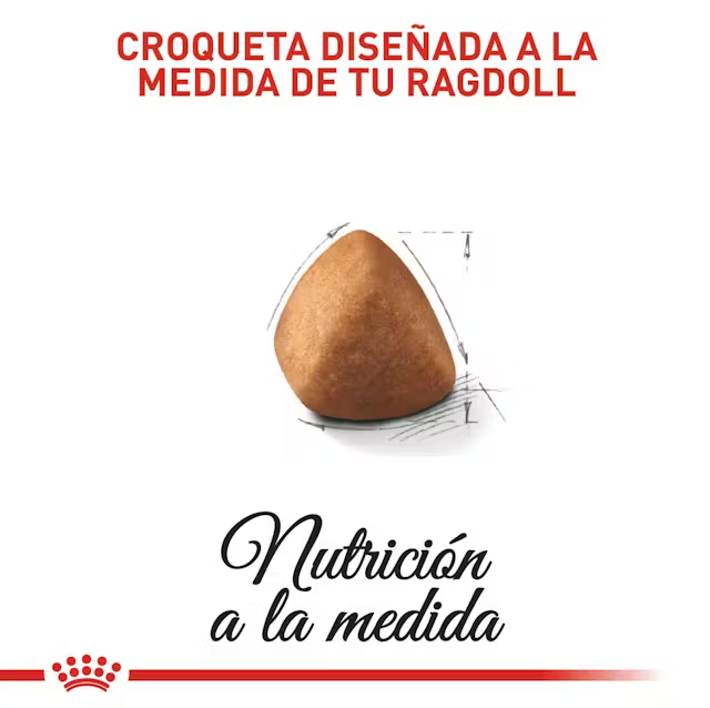 Alimento Royal Canin Ragdoll para Gato Adulto