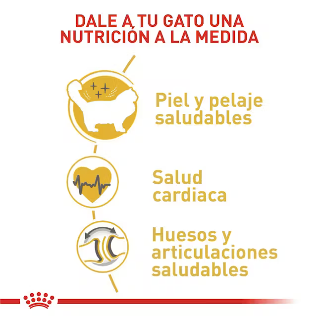 Alimento Royal Canin Ragdoll para Gato Adulto