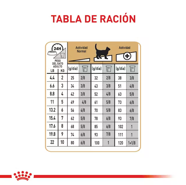 Alimento Royal Canin Ragdoll para Gato Adulto