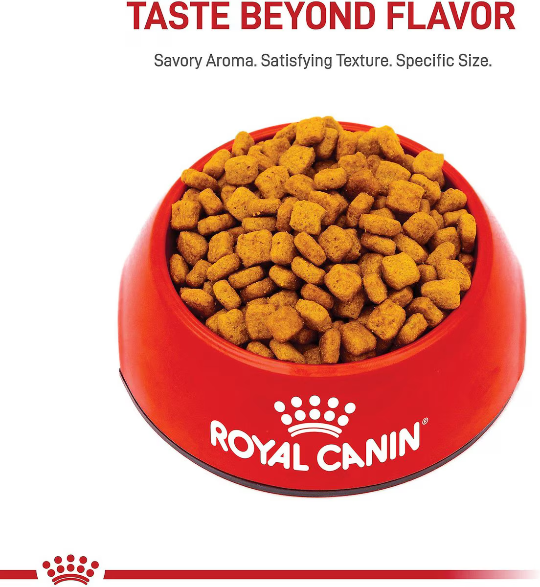Alimento Royal Canin Dachshund para Perro Adulto