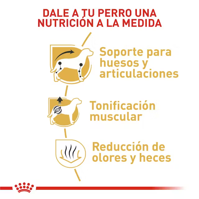 Alimento Royal Canin Dachshund para Perro Adulto