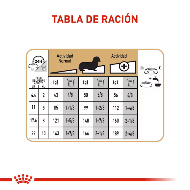 Alimento Royal Canin Dachshund para Perro Adulto