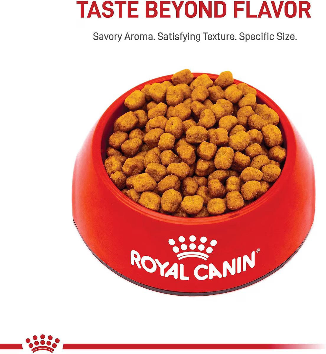 Alimento Royal Canin Shih Tzu para Perro Adulto