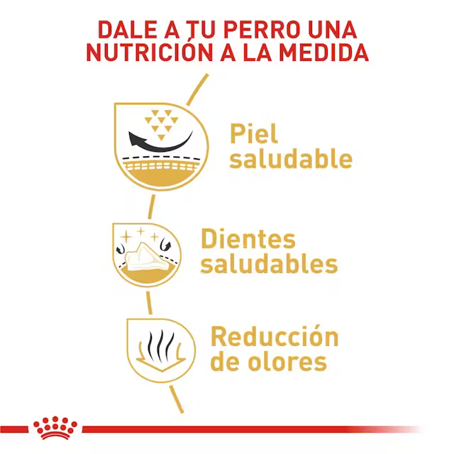Alimento Royal Canin Shih Tzu para Perro Adulto