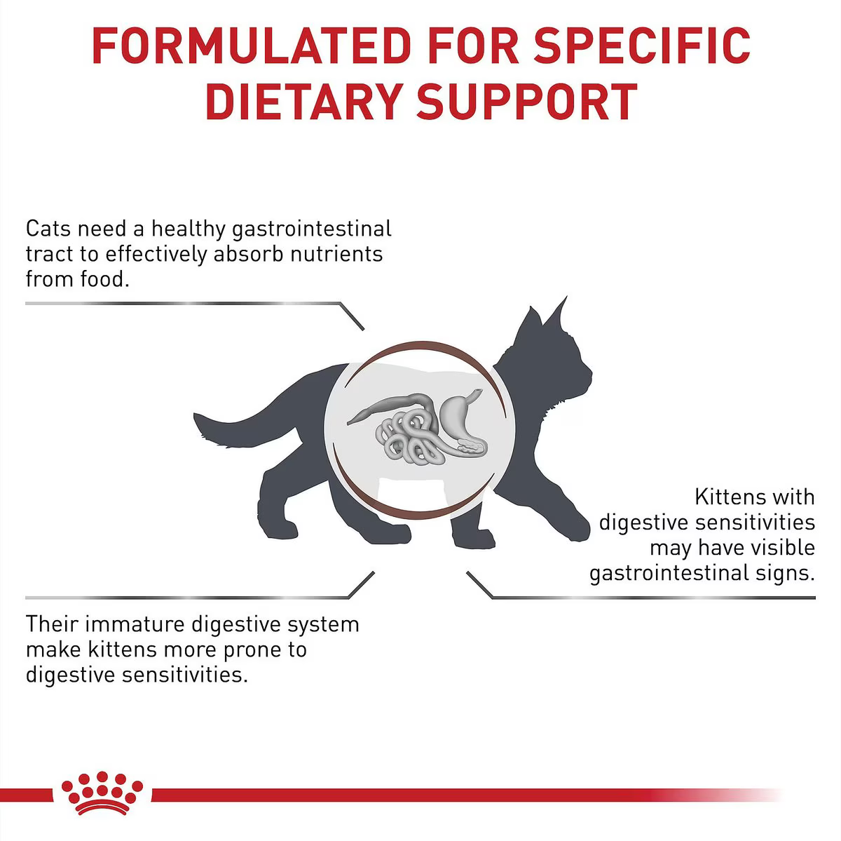 Alimento Royal Canin Gastrointestinal Kitten Para Gato Gatito