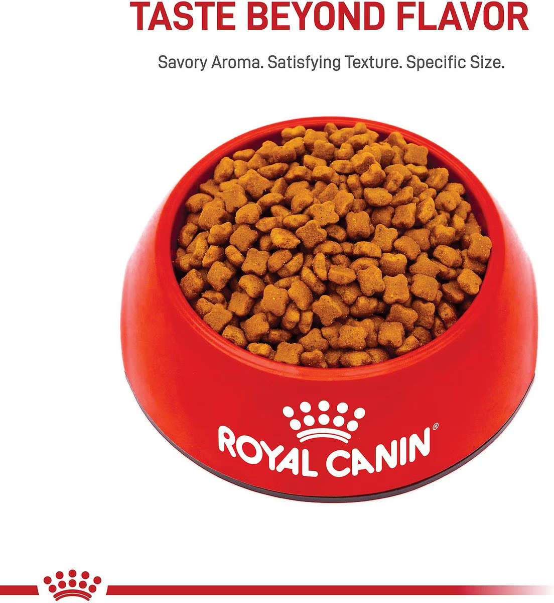 Alimento Royal Canin Kitten para Gato Gatito