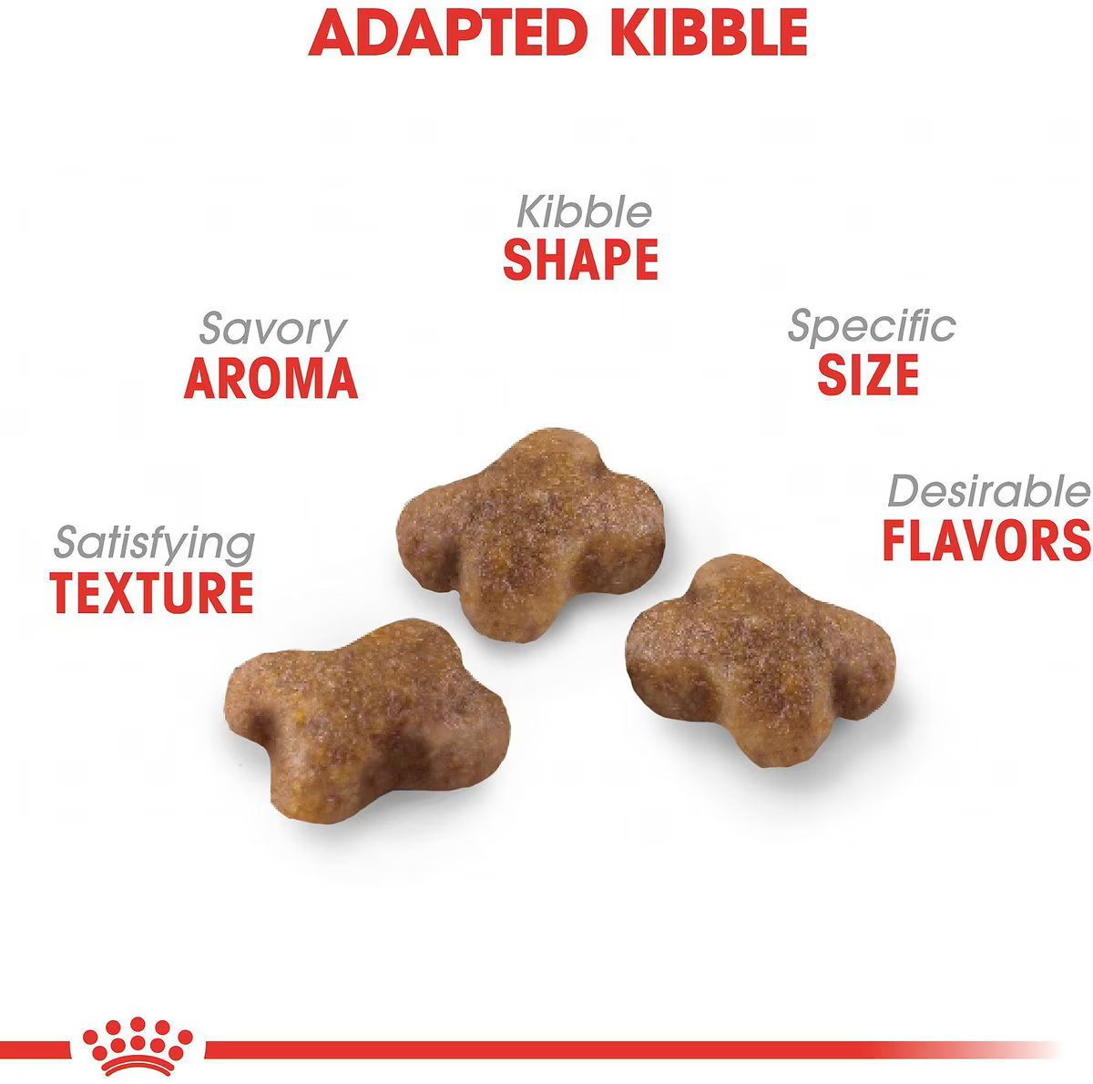 Alimento Royal Canin Kitten para Gato Gatito