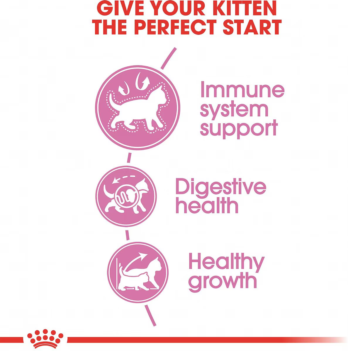 Alimento Royal Canin Kitten para Gato Gatito