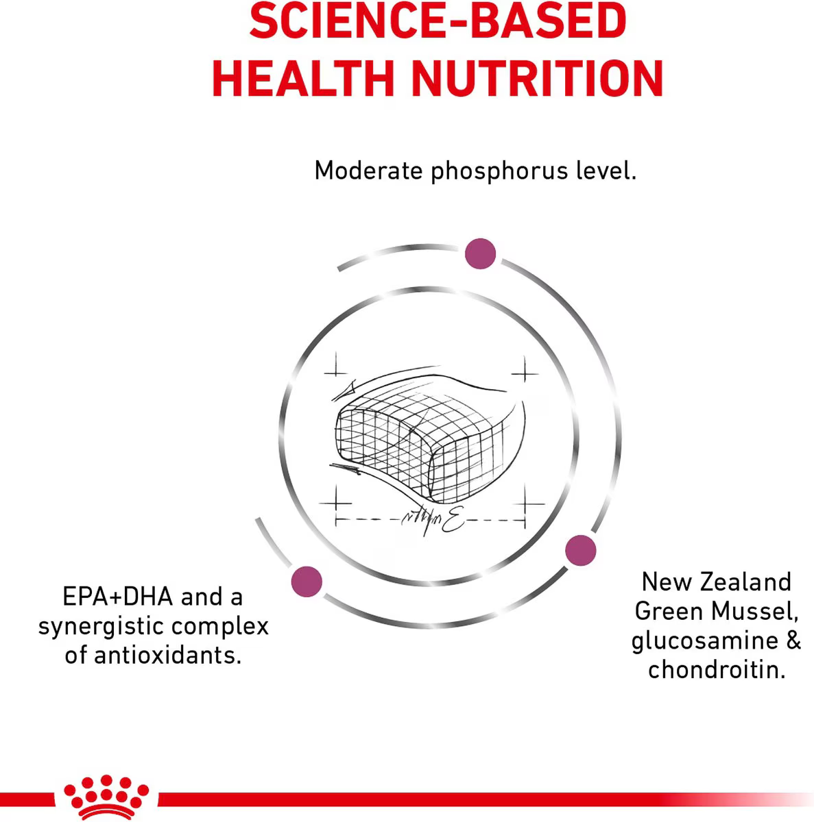 Alimento Royal Canin Renal para Gato Adulto