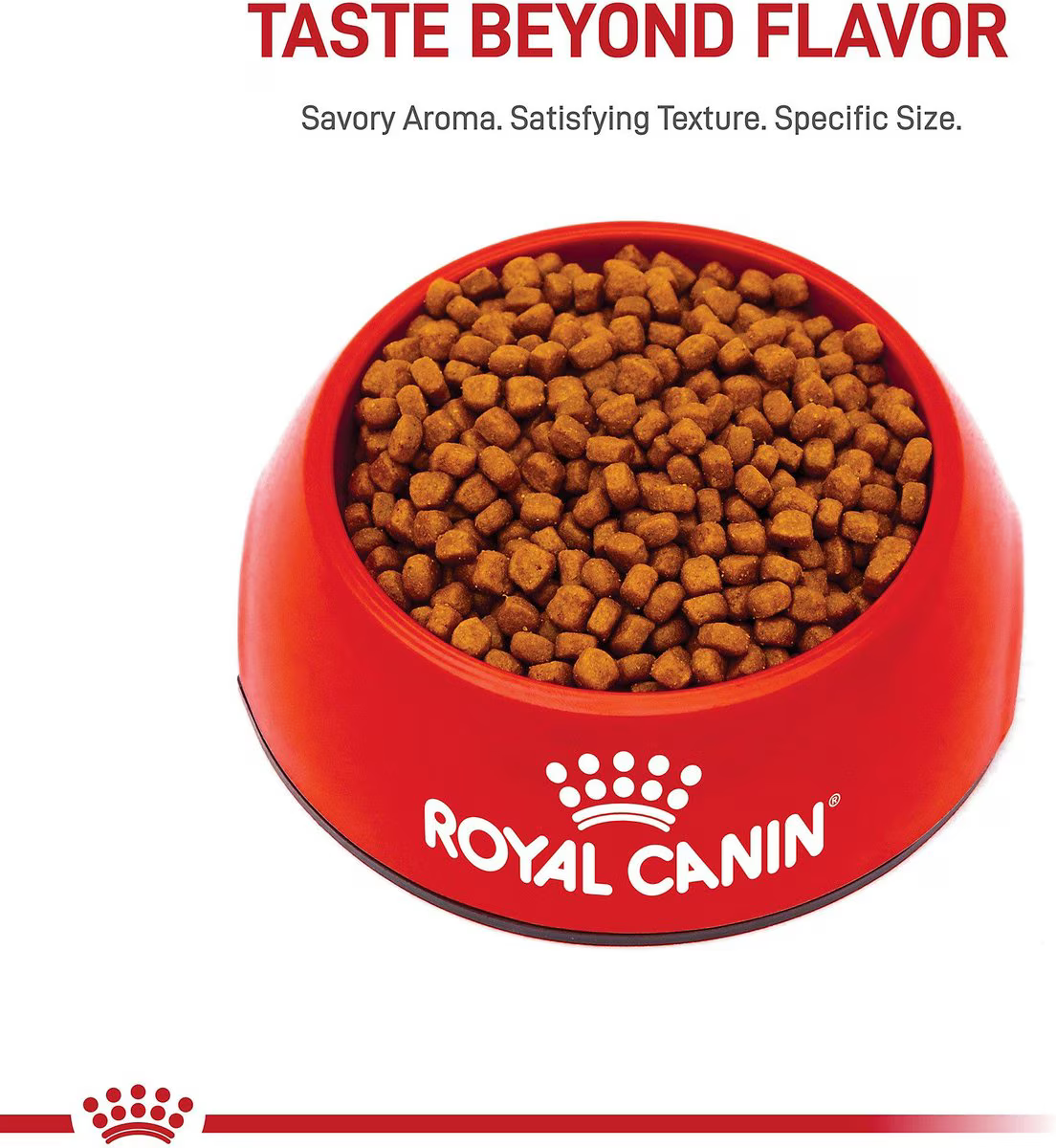Alimento Royal Canin Persa Kitten para Gato Gatito