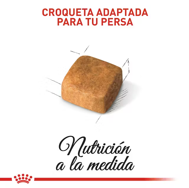 Alimento Royal Canin Persa Kitten para Gato Gatito