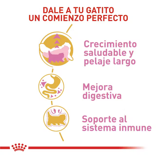 Alimento Royal Canin Persa Kitten para Gato Gatito
