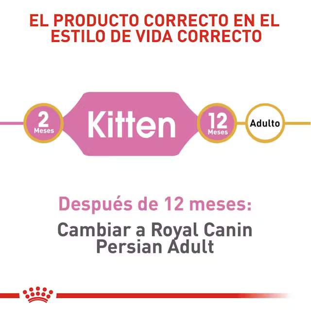 Alimento Royal Canin Persa Kitten para Gato Gatito