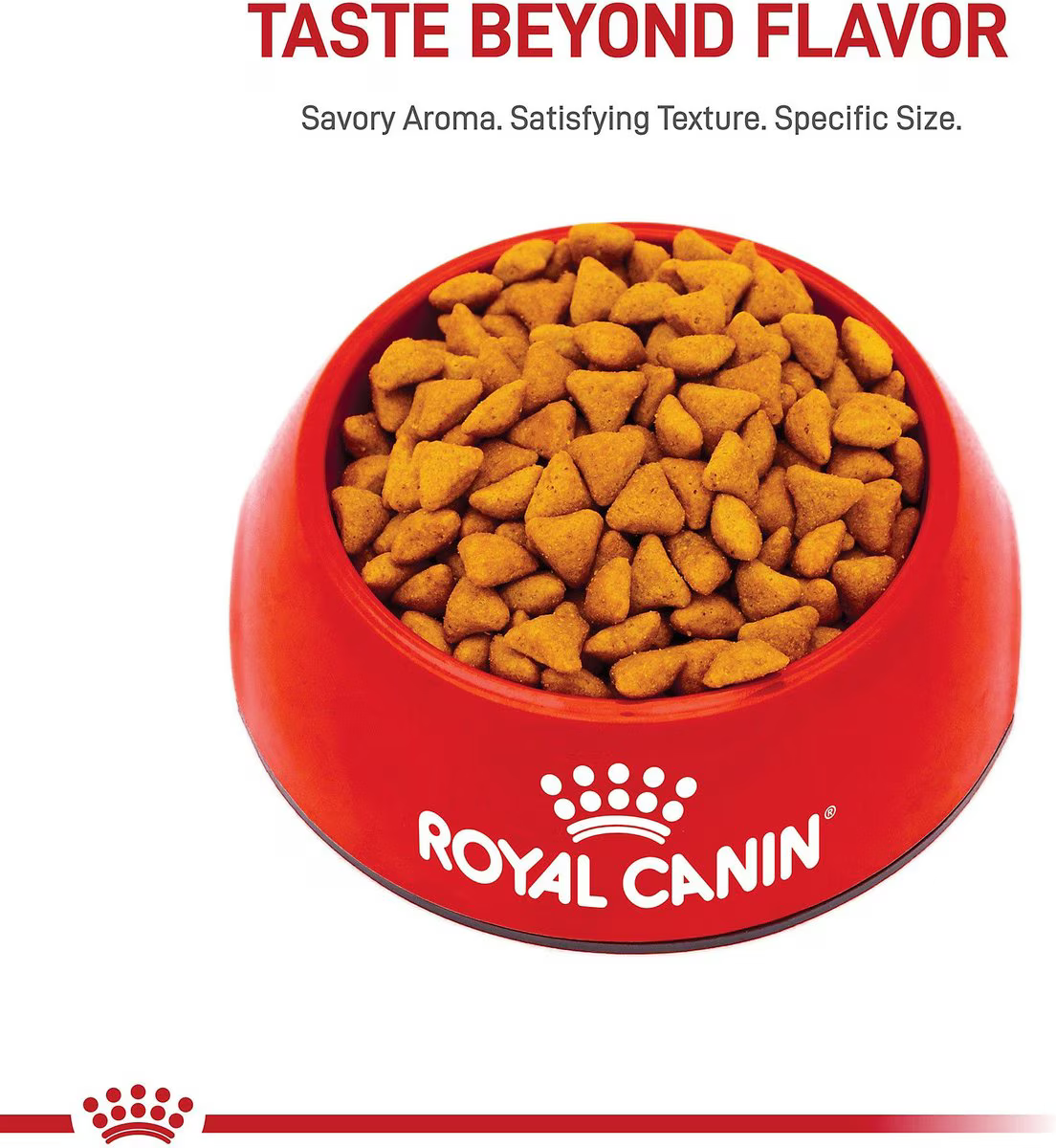 Alimento Royal Canin Indoor para Gato Adulto