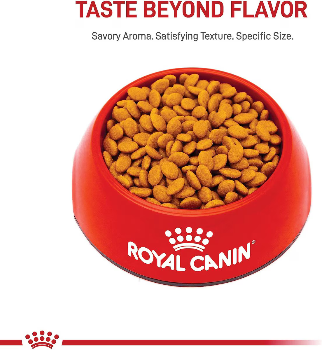 Alimento Royal Canin Persa para Gato Adulto