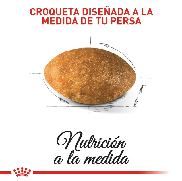 Alimento Royal Canin Persa para Gato Adulto
