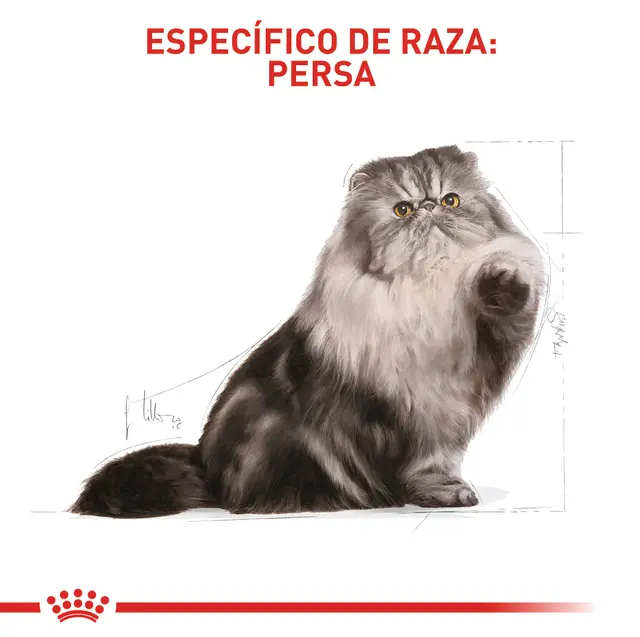 Alimento Royal Canin Persa para Gato Adulto