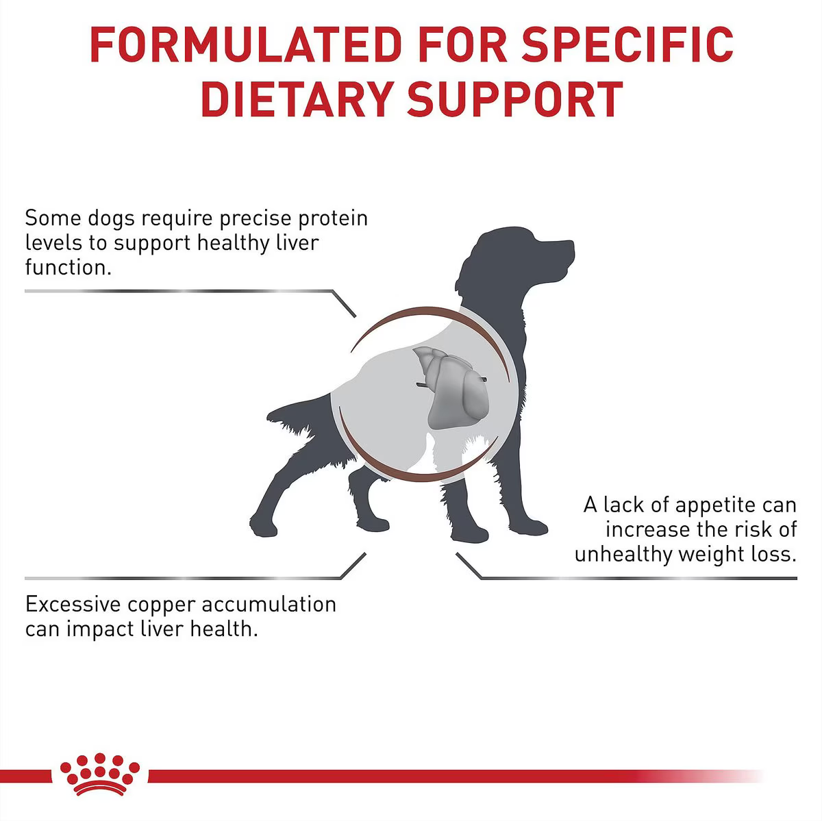 Alimento Royal Canin Hepatic para Perro Adulto