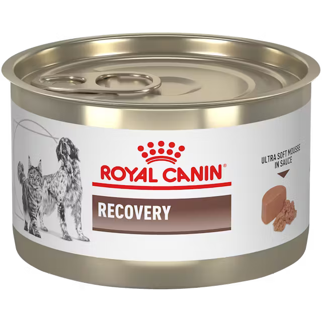 Alimento Húmedo Royal Canin Recovery para Perro y Gato Adulto