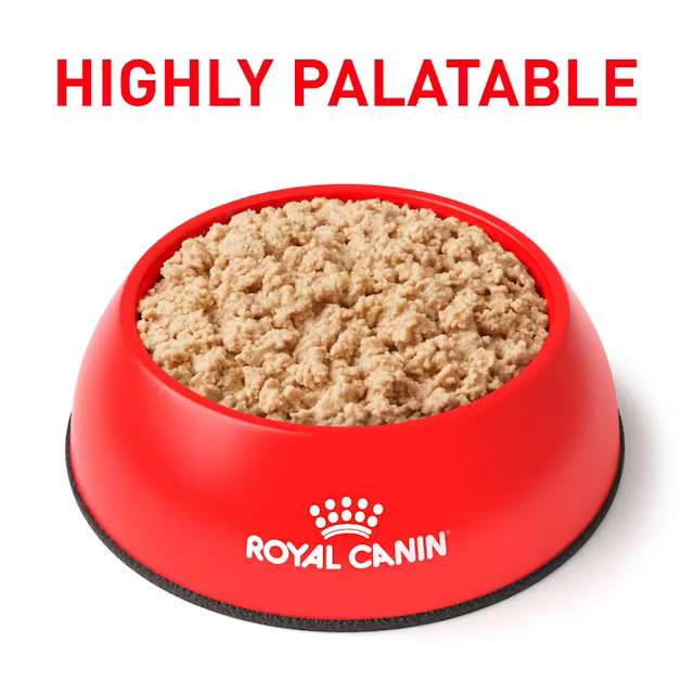 Alimento Húmedo Royal Canin Recovery para Perro y Gato Adulto