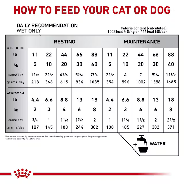 Alimento Húmedo Royal Canin Recovery para Perro y Gato Adulto