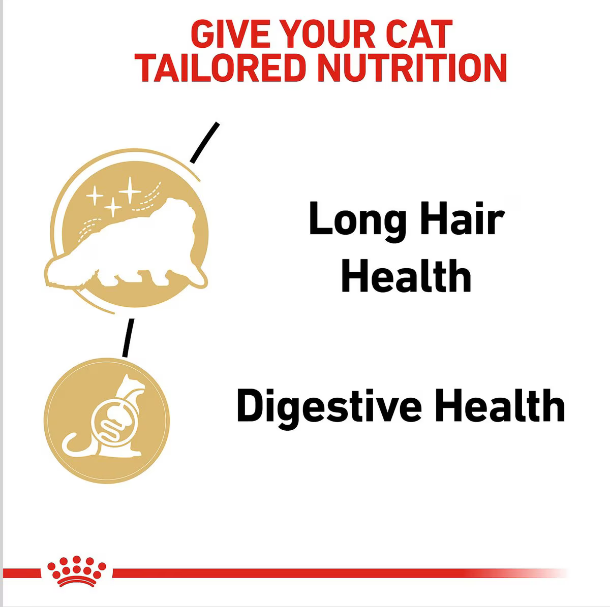Alimento Húmedo Royal Canin Persa para Gato Adulto