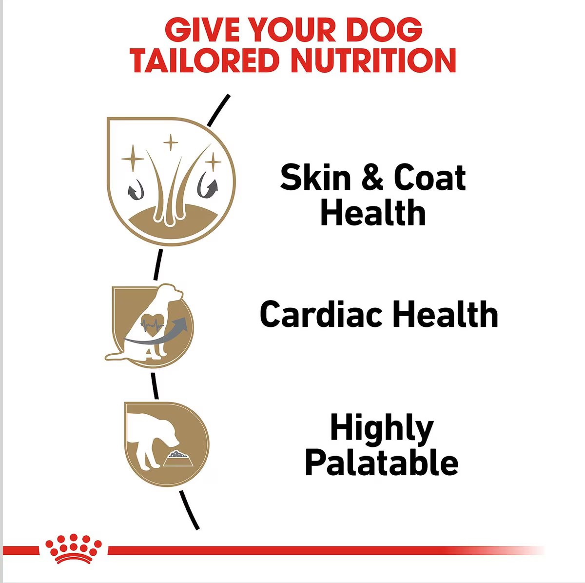 Alimento Húmedo Royal Shih Tzu para Perro Adulto