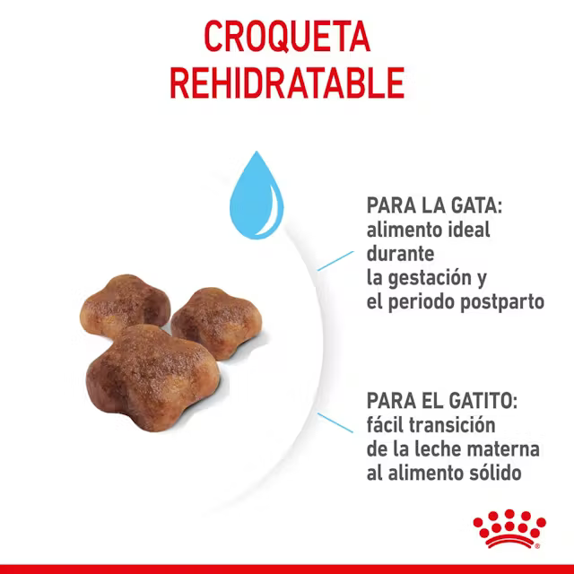 Alimento Royal Canin Mother and Babycat para Gato Adulto Madre y Gatito