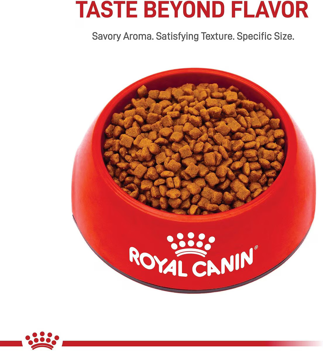 Alimento Royal Canin Mother and Babycat para Gato Adulto Madre y Gatito