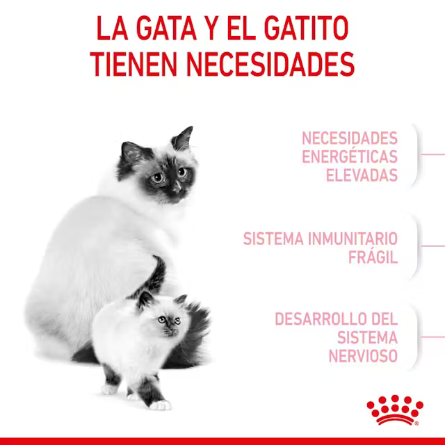 Alimento Royal Canin Mother and Babycat para Gato Adulto Madre y Gatito