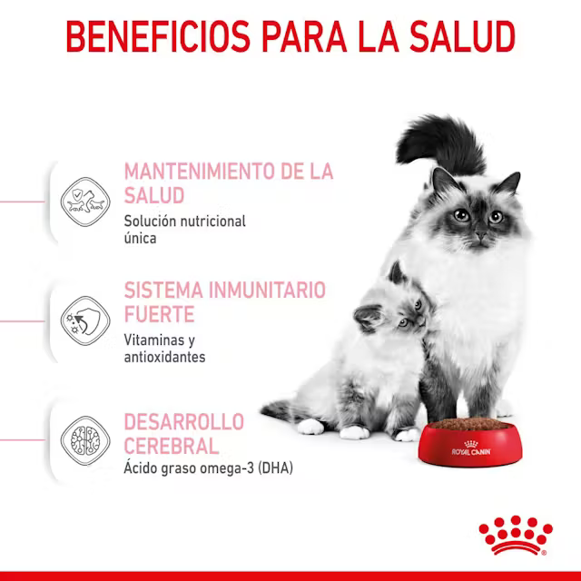 Alimento Royal Canin Mother and Babycat para Gato Adulto Madre y Gatito