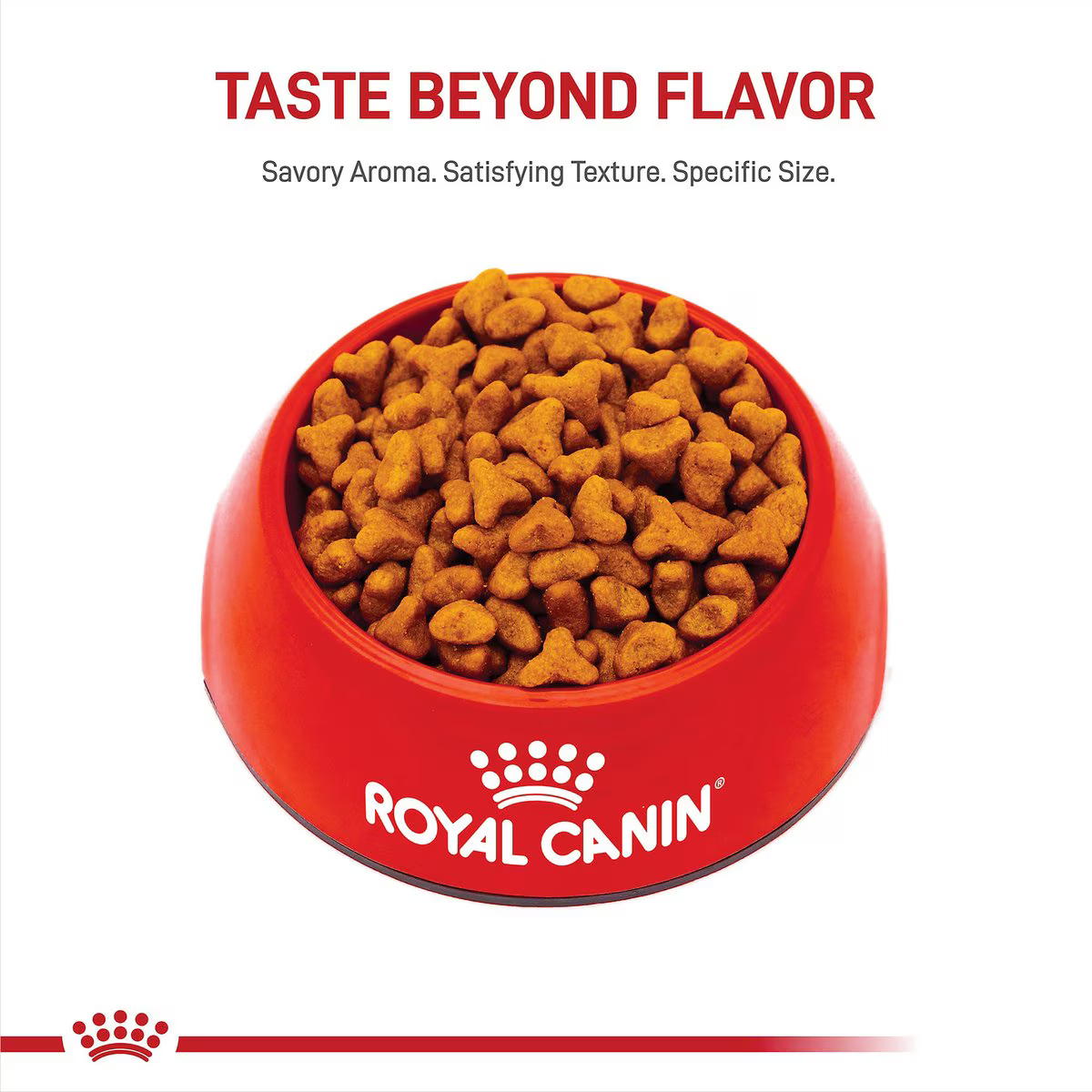 Alimento Royal Canin Pug para Perro Adulto