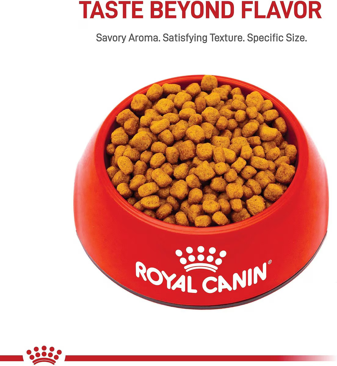Alimento Royal Canin Chihuahua Perro Adulto