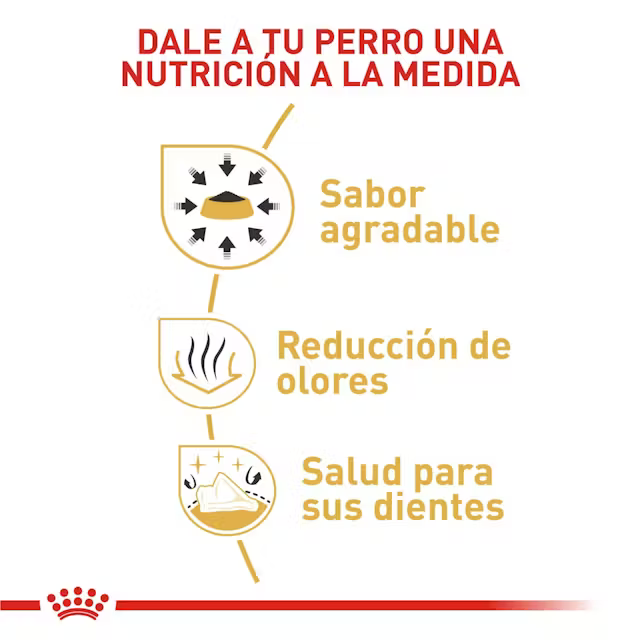 Alimento Royal Canin Chihuahua Perro Adulto