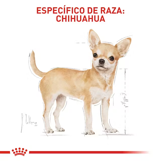 Alimento Royal Canin Chihuahua Perro Adulto