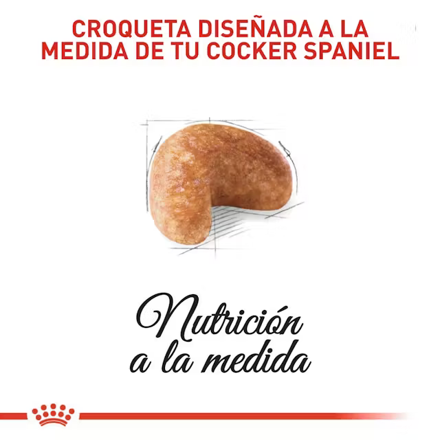 Alimento Royal Canin Cocker Perro Adulto