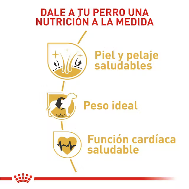 Alimento Royal Canin Cocker Perro Adulto