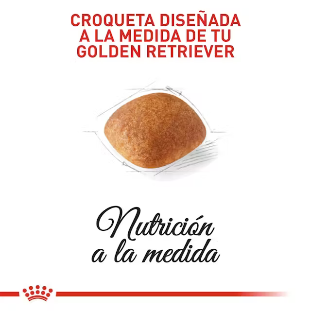 Alimento Royal Canin Golden Retriever para Perro Adulto
