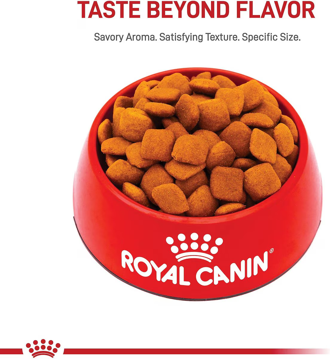 Alimento Royal Canin Golden Retriever para Perro Adulto