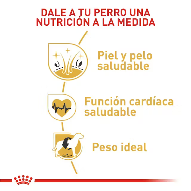 Alimento Royal Canin Golden Retriever para Perro Adulto