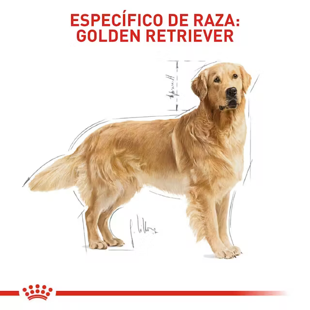 Alimento Royal Canin Golden Retriever para Perro Adulto