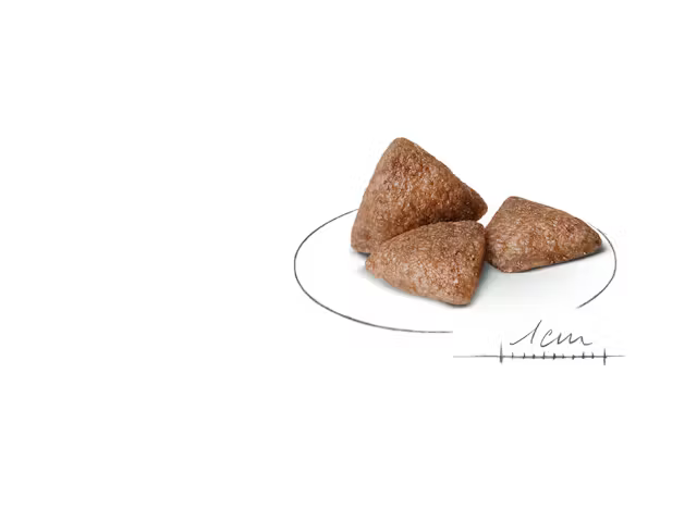 Alimento Royal Canin Mini Indoor para Perro Adulto Raza Pequeña
